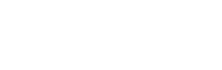 ematech logo inet