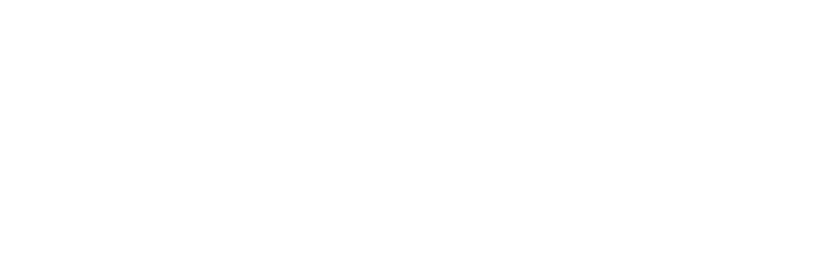 valor logo inet